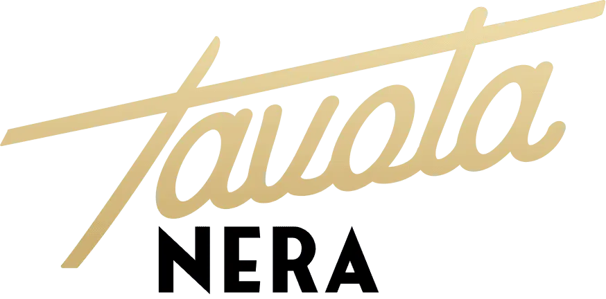 The Social Hub Logo